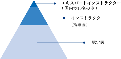 国内ライセンス保持者の割合のピラミッド図